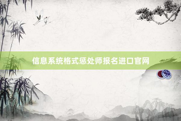 信息系统格式惩处师报名进口官网